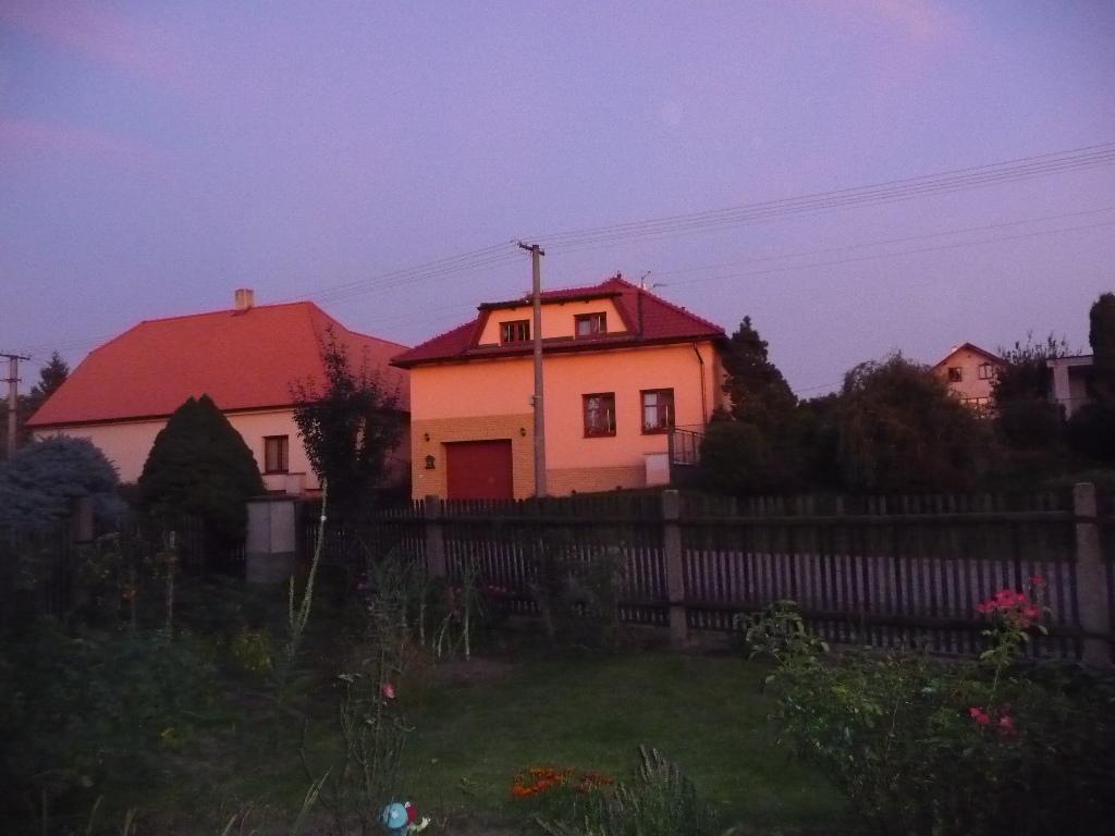 Třibřichy